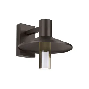Ash 12 In. LED Lo-Output Outdoor Wall Sconce 619 Lumens 2700K Surge Protection Bronze Finish Clear Cylinder