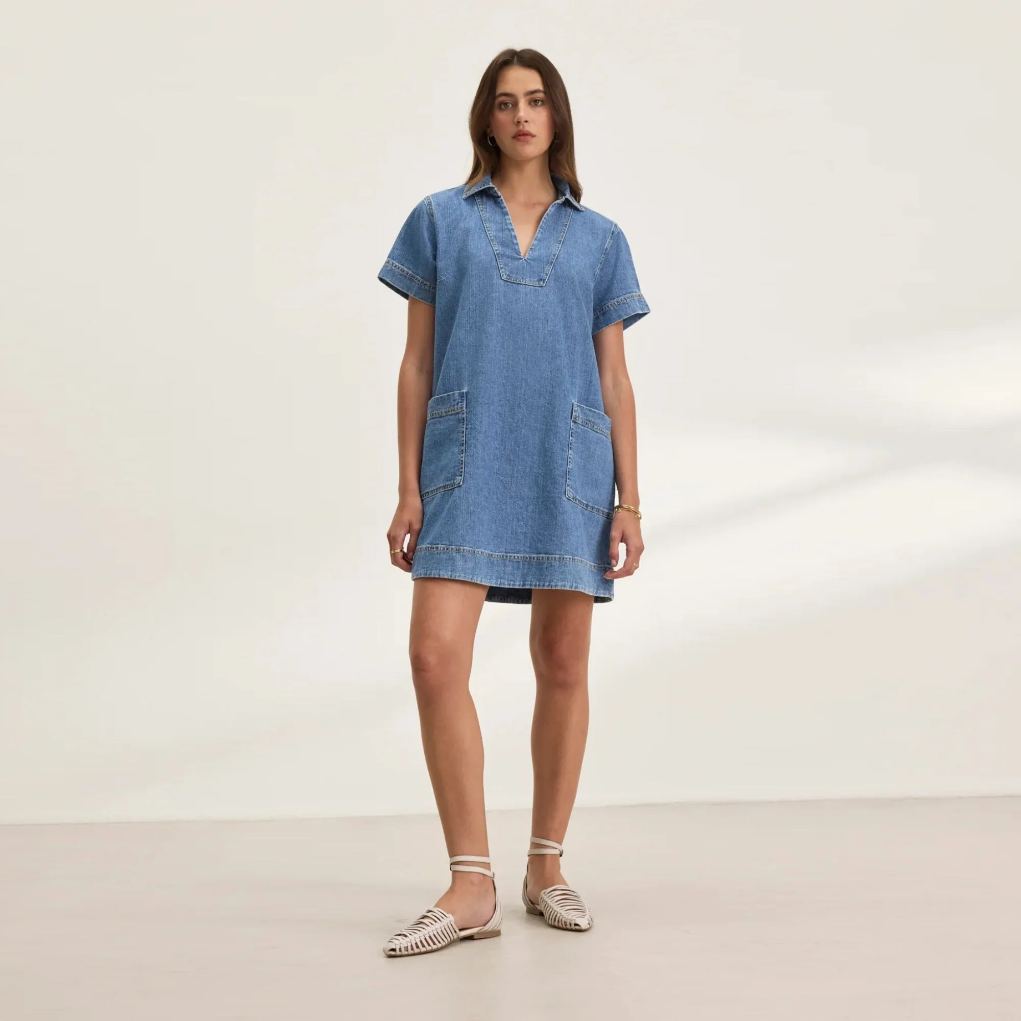 Delana Denim Dress (Indigo)