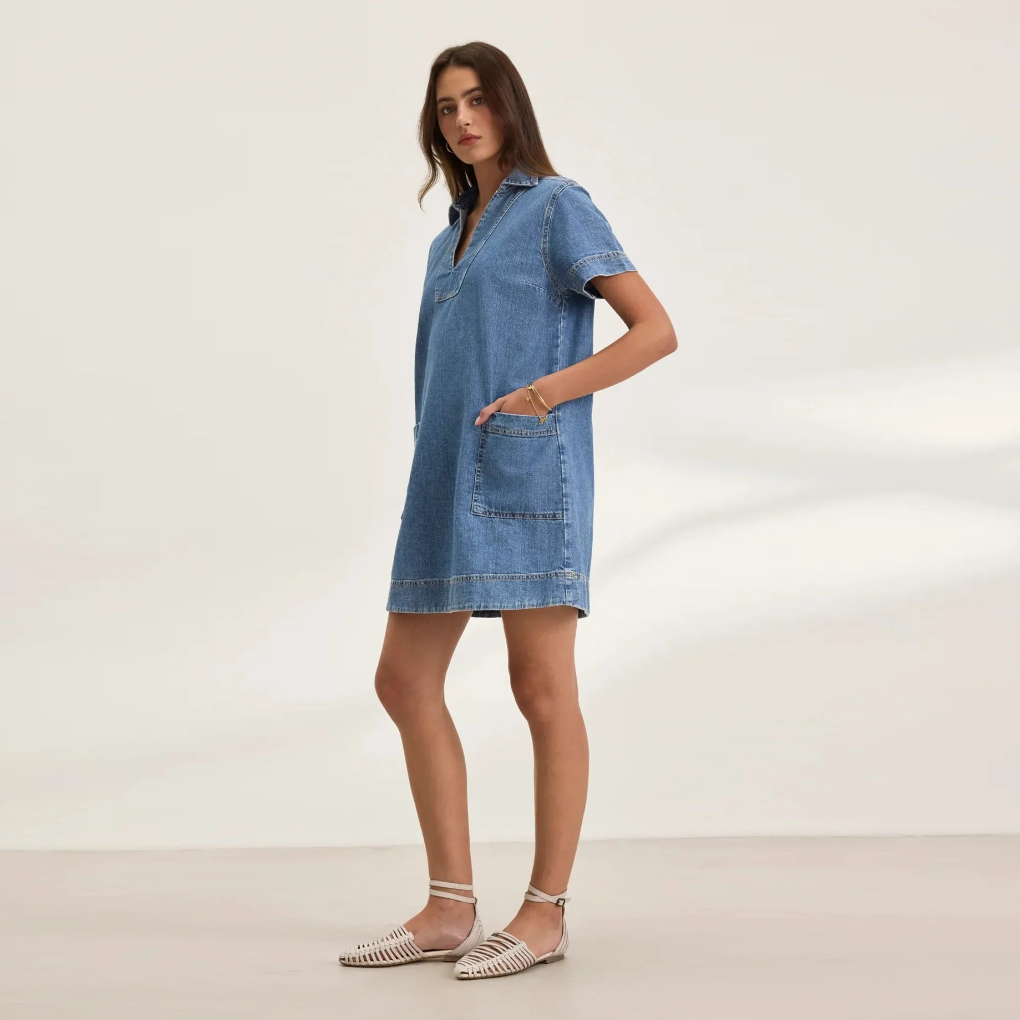 Delana Denim Dress (Indigo)