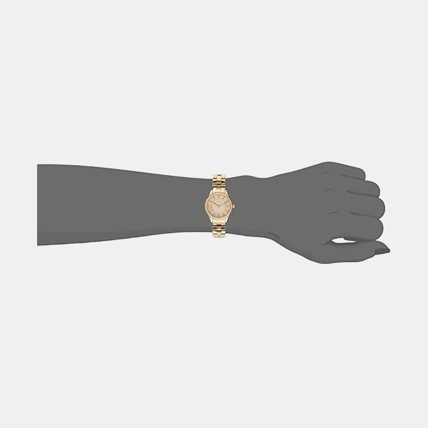 Women's Rose Gold Analog Stainless Steel Watch BQ1571